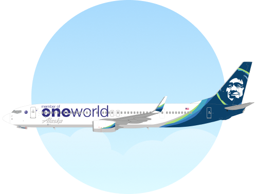 Imagen identificatoria especial de la aeronave N487AS